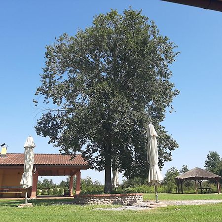 Corte All'Olmo Верона Екстериор снимка