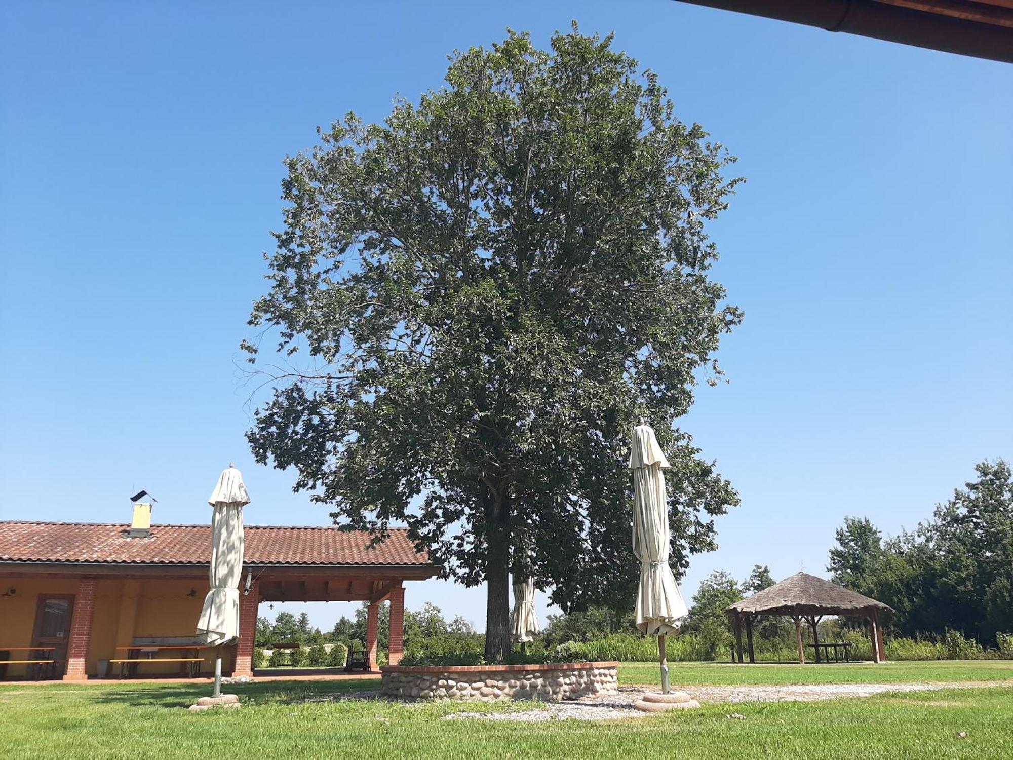 Corte All'Olmo Верона Екстериор снимка
